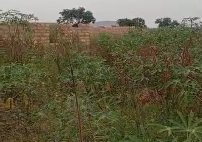 Screenshot_20251207-093403_1