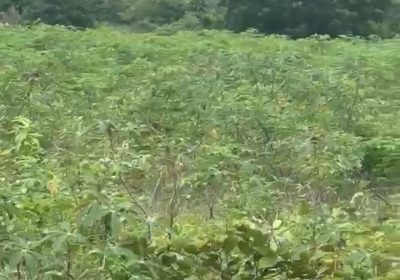 Screenshot_20251207-093426_1